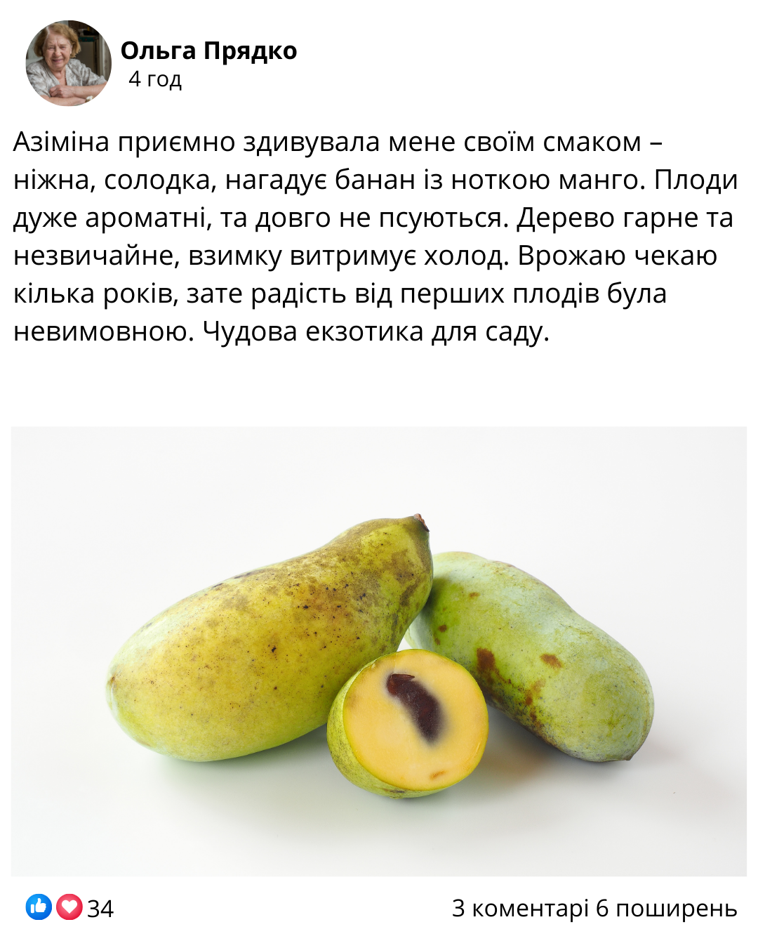 Заголовок