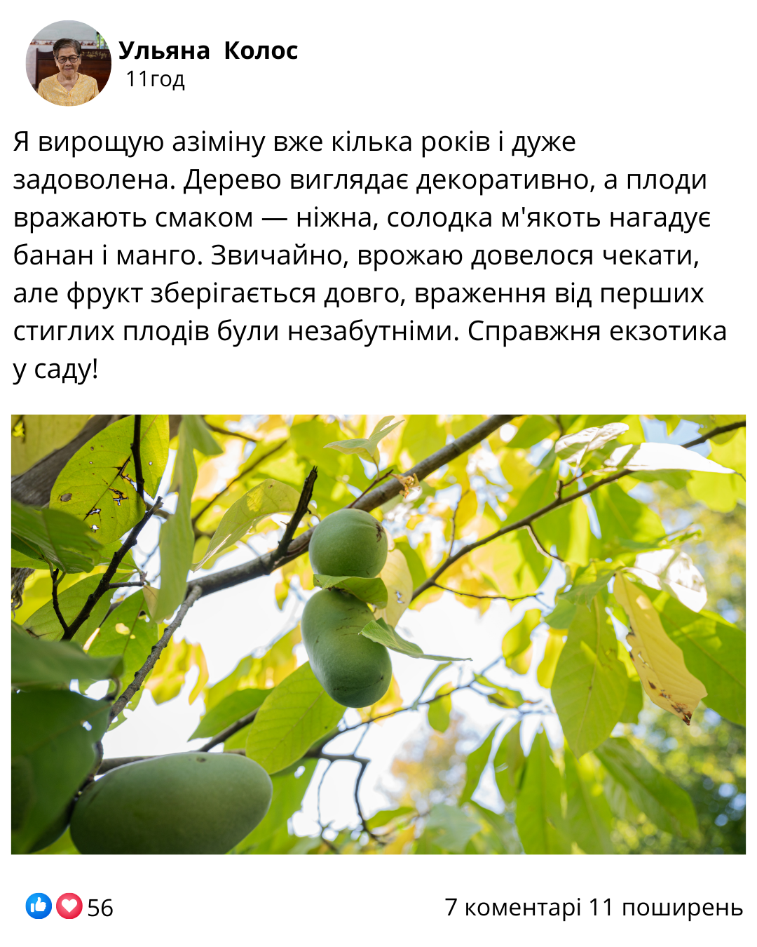 Заголовок