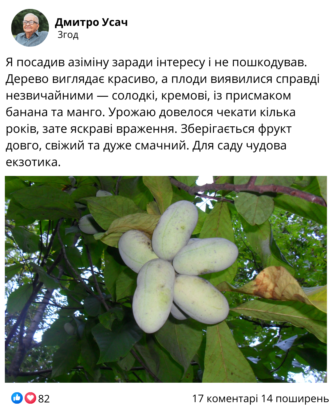 Заголовок