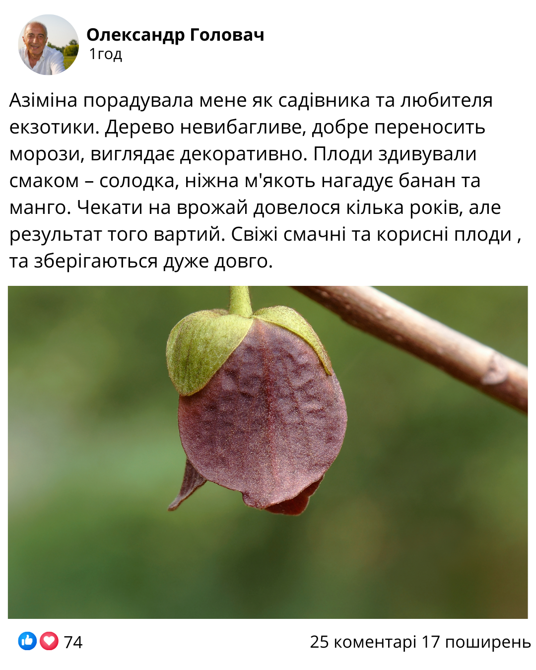 Заголовок