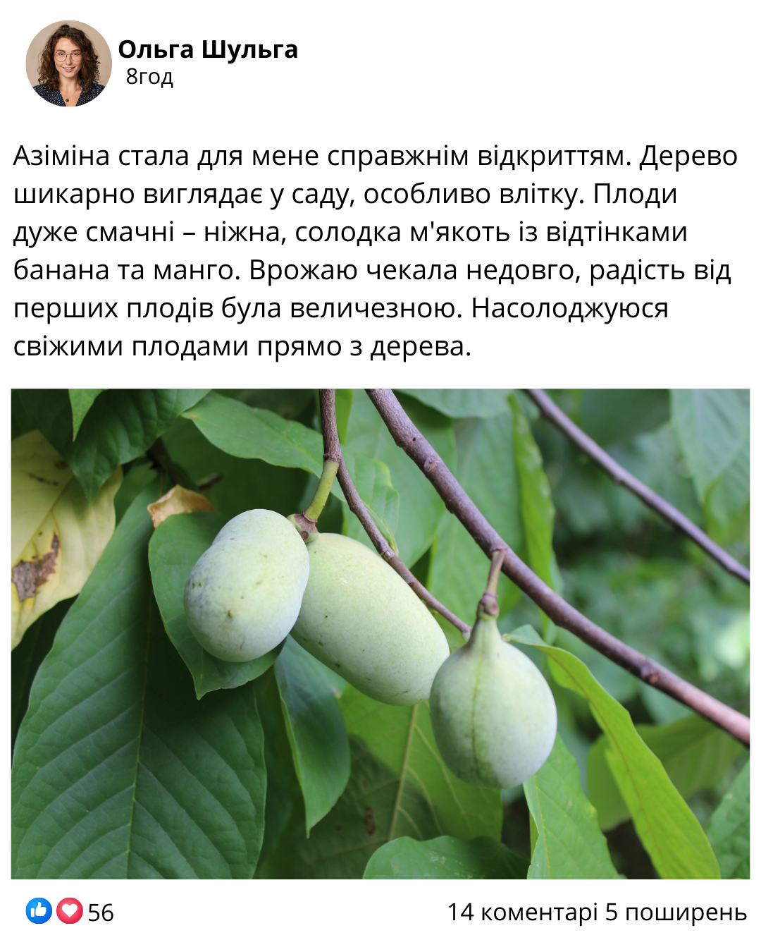 Заголовок