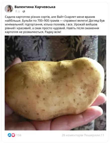 Заголовок