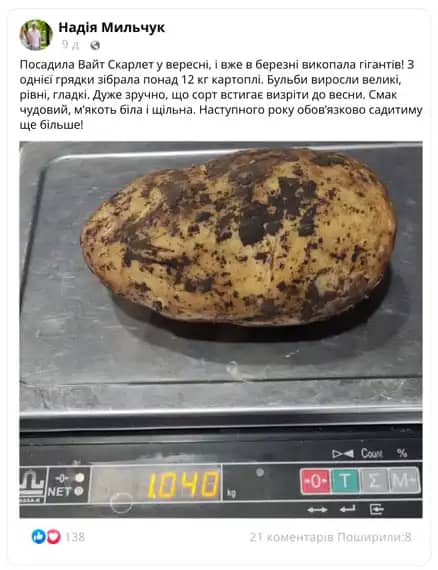 Заголовок