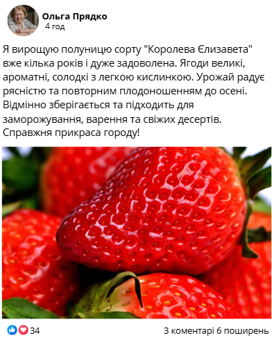 Заголовок