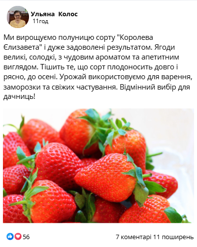 Заголовок