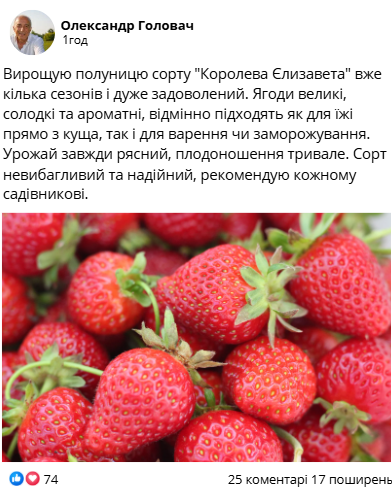 Заголовок
