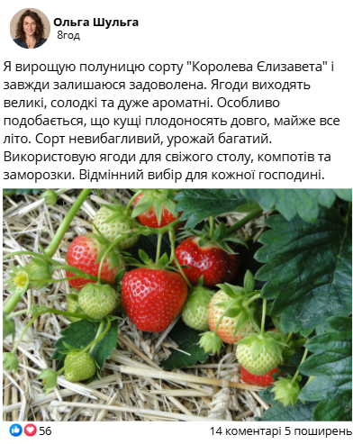 Заголовок