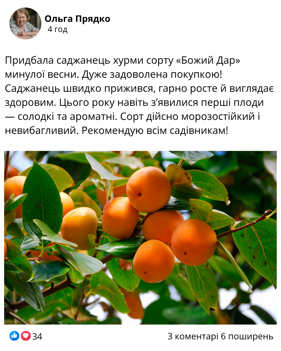 Заголовок