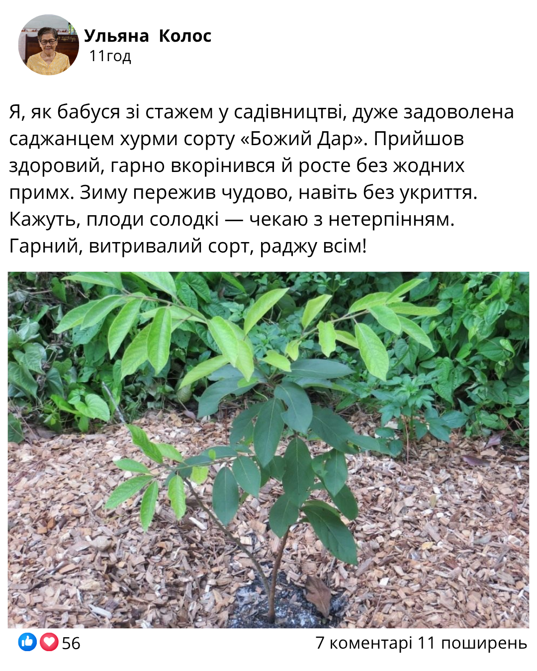 Заголовок