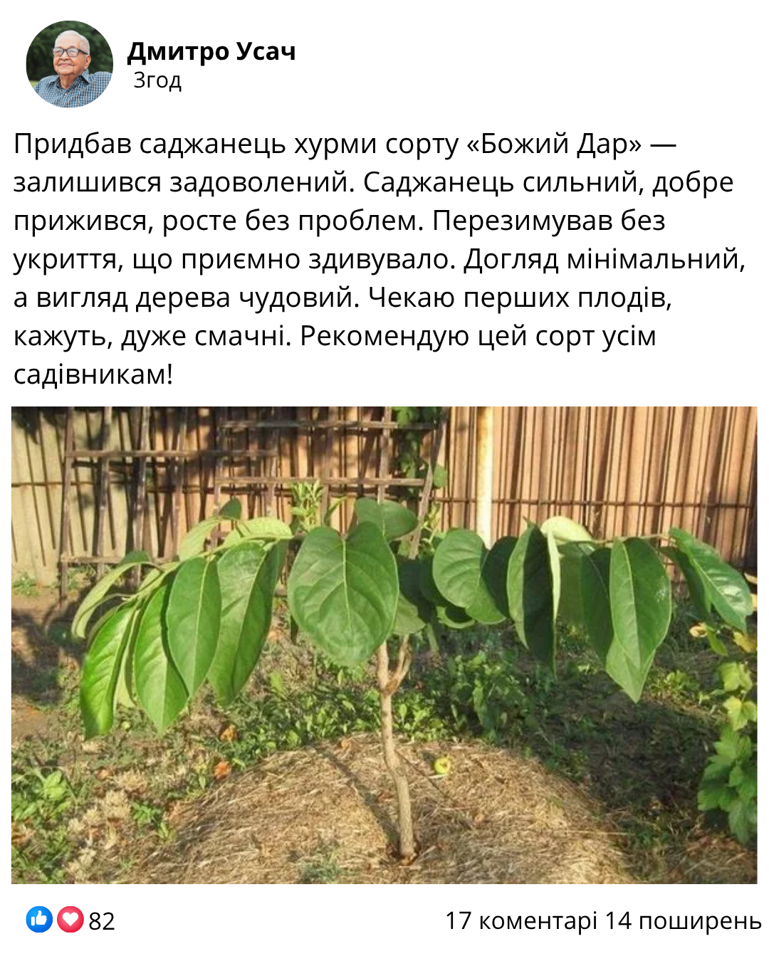 Заголовок