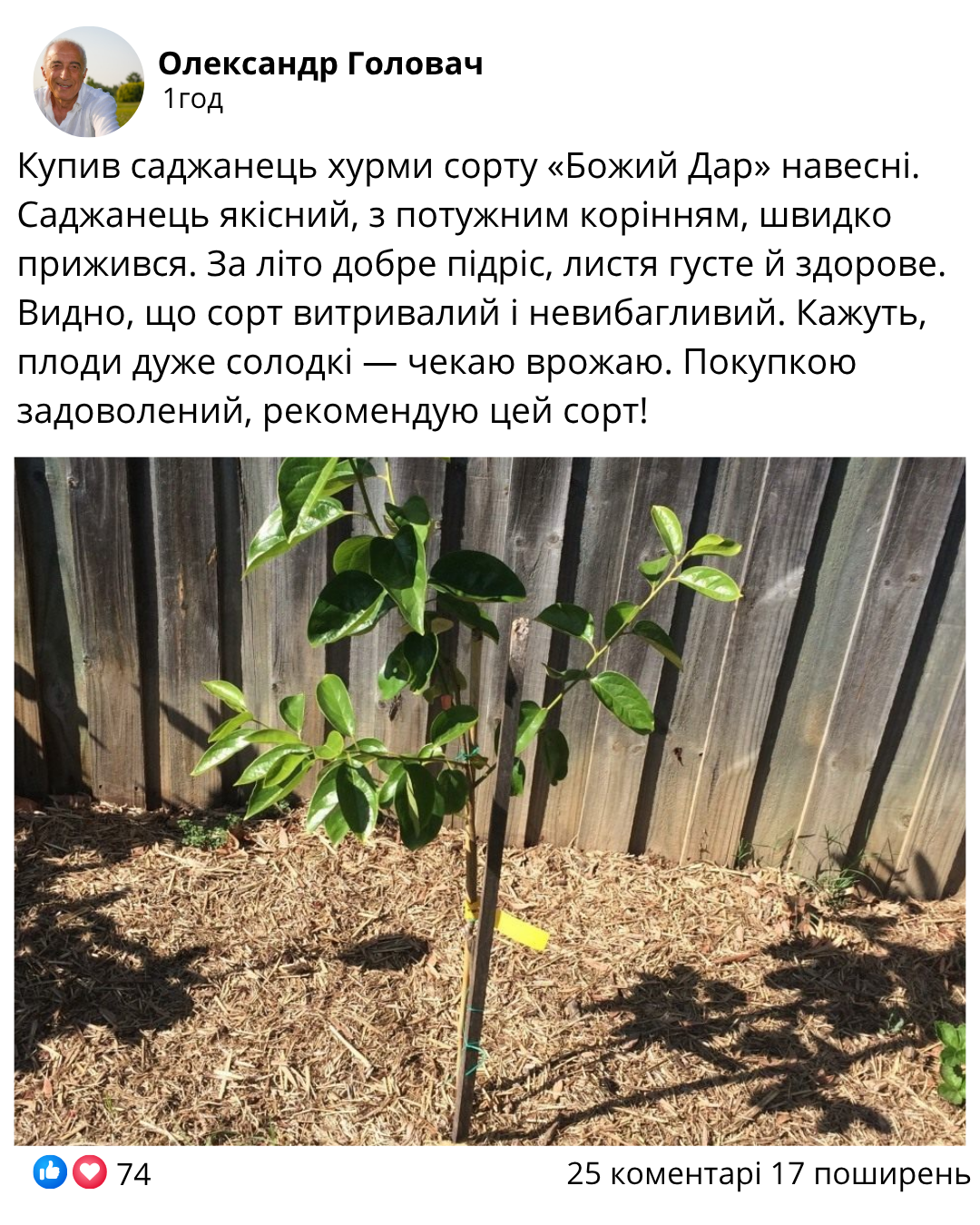 Заголовок