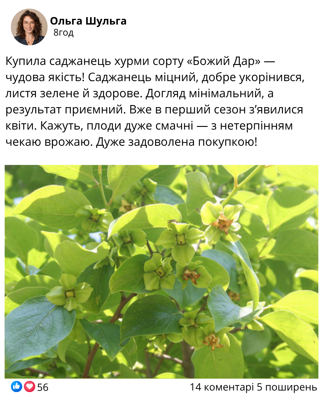 Заголовок